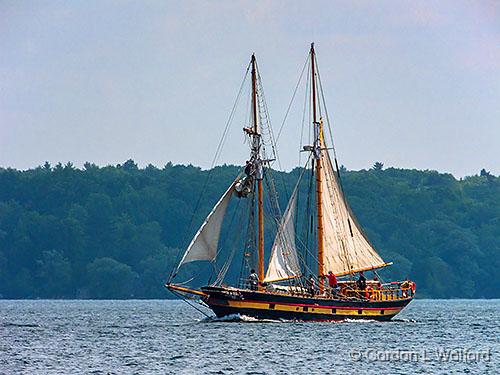 Sails On The St. Lawrence II_DSCF04080.jpg - Photographed at the Tall Ships 1812 Tour in Brockville, Ontario, Canada.